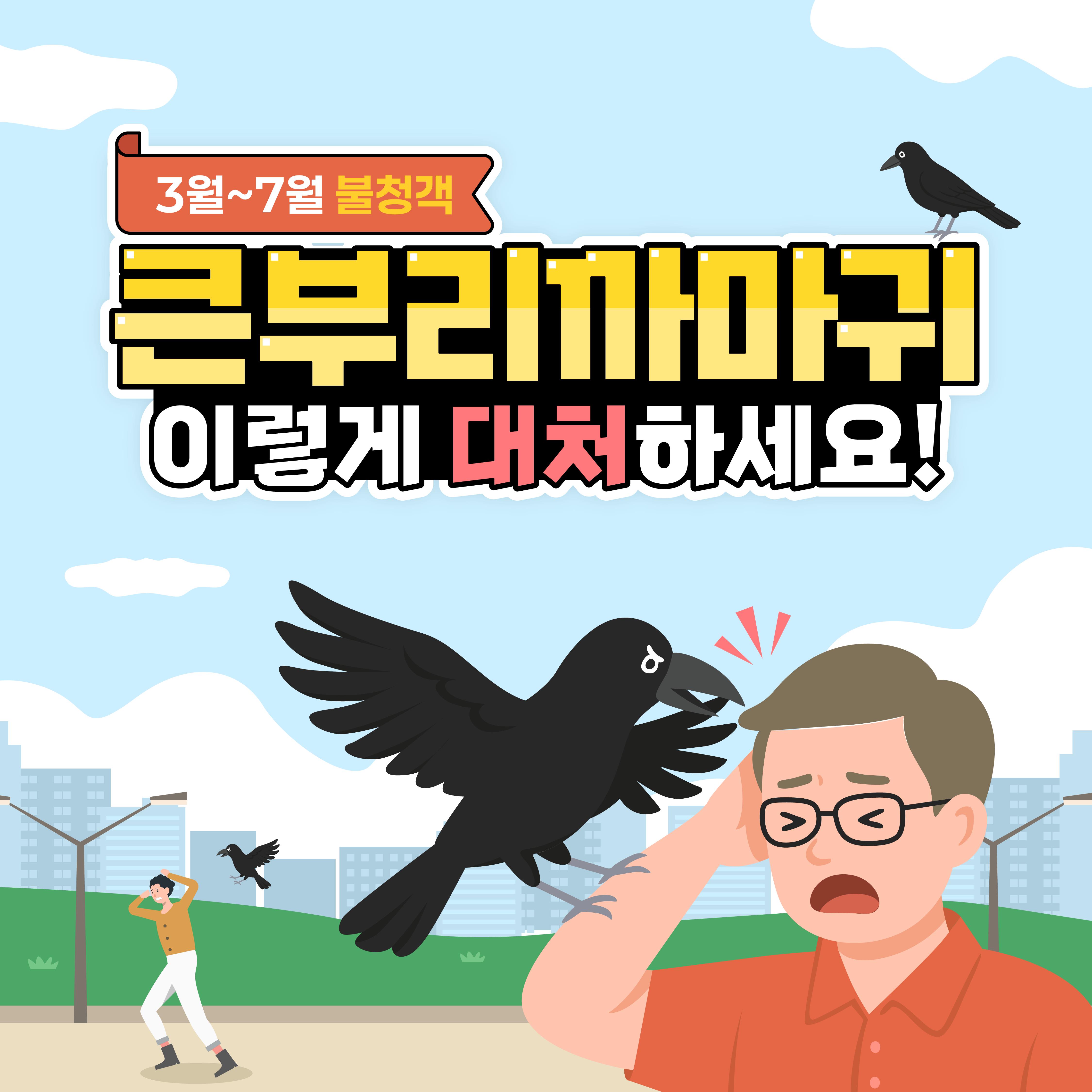큰부리까마귀 이렇게 대처하세요! 이미지