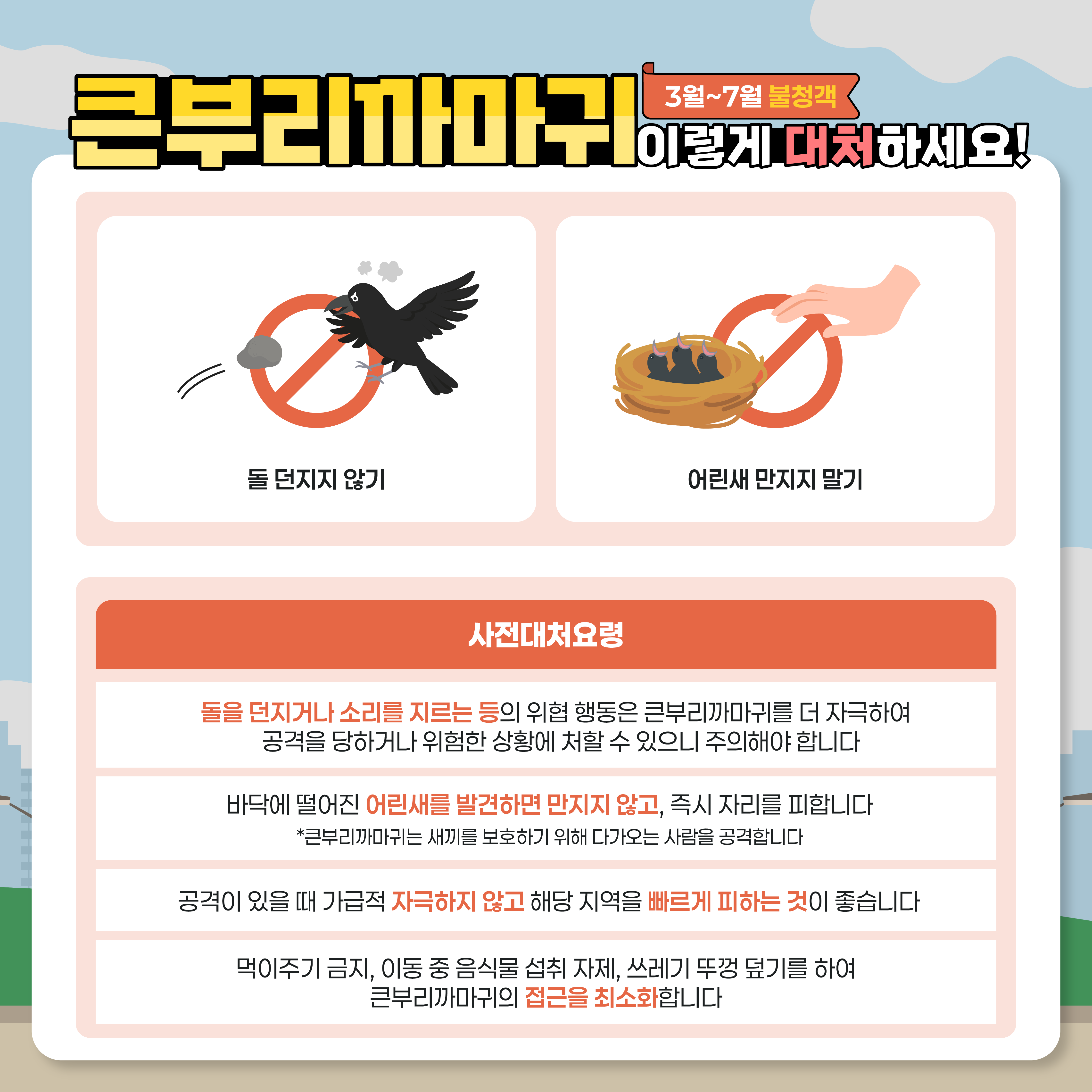 3~7월 불청객
큰부리까마귀 이렇게 대처하세요!
돌 던지지 않기
어린새 만지지 말기
사전대처요령
돌을 던지거나 소리를 지르는 등의 위협 행동은 큰부리까마귀를 더 자극하여 공격을 당하거나 위험한 상황에 처할 수 있으니 주의해야 합니다.
바닥에 떨어진 어린새를 발견하면 만지지 않고, 즉시 자리를 피합니다
큰부리까마귀는 새끼를 보호하기 위해 다가오는 사람을 공격합니다
공격이 있을 때 가급적 자극하지 않고 해당 지역을 빠르게 피하는 것이 좋습니다
먹이주기 금지, 이동 중 음식물 섭취 자제, 쓰레기 뚜껑 덮기를 하여 큰부리까마귀의 접근을 최소화합니다