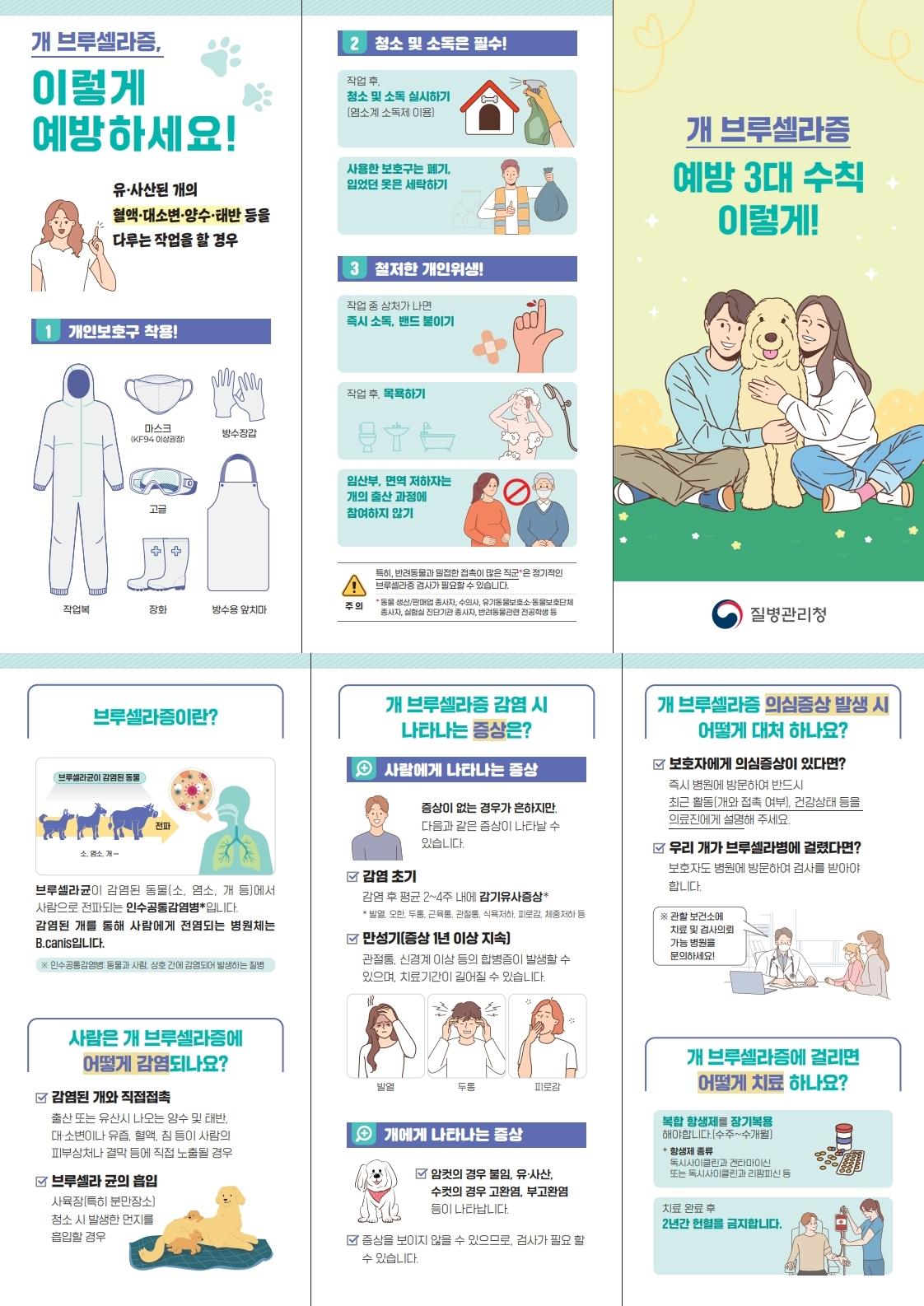 감염병 월간 패키지(개 브루셀라증 알아보기) 이미지
