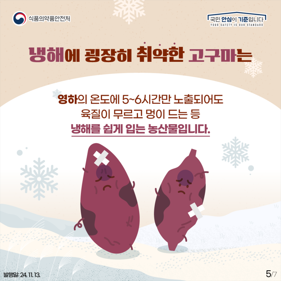 식품의약품안전처
국민 안심이 기준입니다
YOUR SAFETY IS OUR STANDARD
냉해에 굉장히 취약한 고구마는
영하의 온도에 5~6시간만 노출되어도 육질이 무르고 멍이 드는 등 냉해를 쉽게 입는 농산물입니다.
발행일: 24. 11. 13.
5-7