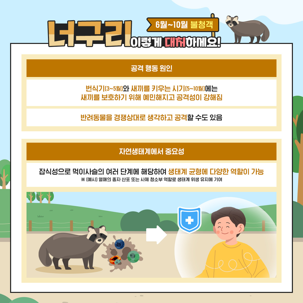 너구리
6월~10월 불청객 대
공격 행동 원인
번식기(3~5월)와 새끼를 키우는 시기5~10월)에는 새끼를 보호하기 위해 예민해지고 공격성이 강해짐
반려동물을 경쟁상대로 생각하고 공격할 수도 있음
자연생태계에서 중요성
잡식성으로 먹이사슬의 여러 단계에 해당하여 생태계 균형에 다양한 역할이 가능
※ 예시 열매의 종자 산포 또는 사체 청소부 역할로 생태계 위생 유지에 기여
