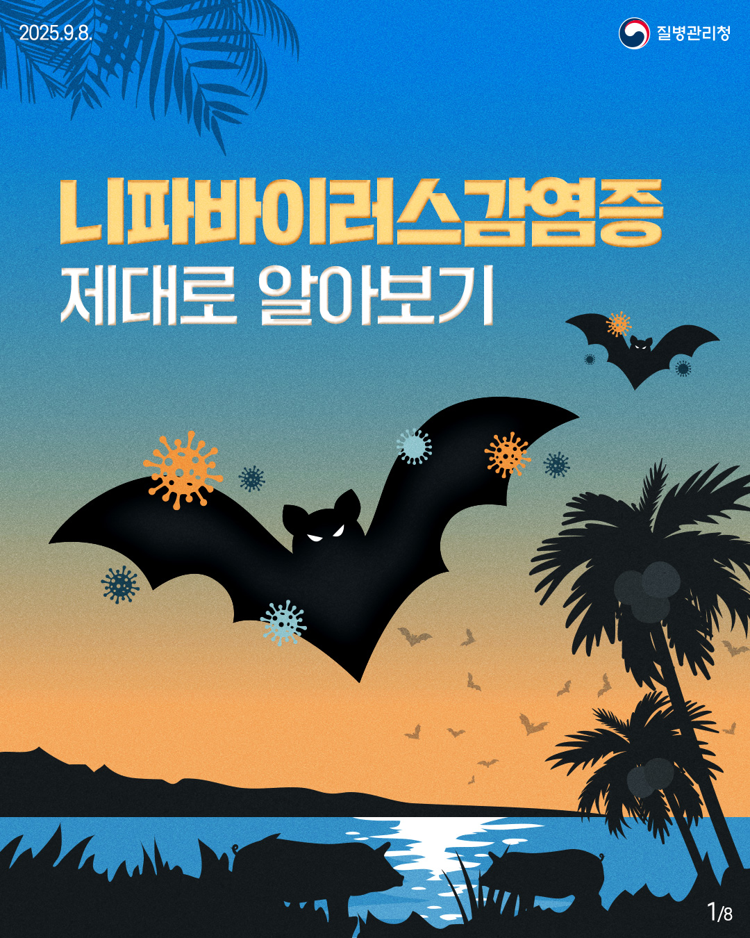 2025.9.8.
질병관리청
니파바이러스감염증 제대로 알아보기
18