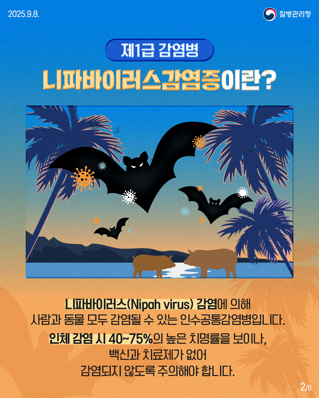 2025.9.8.
질병관리청
제1급 감염병
니파바이러스감염증이란?
니파바이러스(Nipah virus) 감염에 의해 사람과 동물 모두 감염될 수 있는 인수공통감염병입니다.
인체 감염 시 40~75%의 높은 치명률을 보이나, 백신과 치료제가 없어 감염되지 않도록 주의해야 합니다.
28