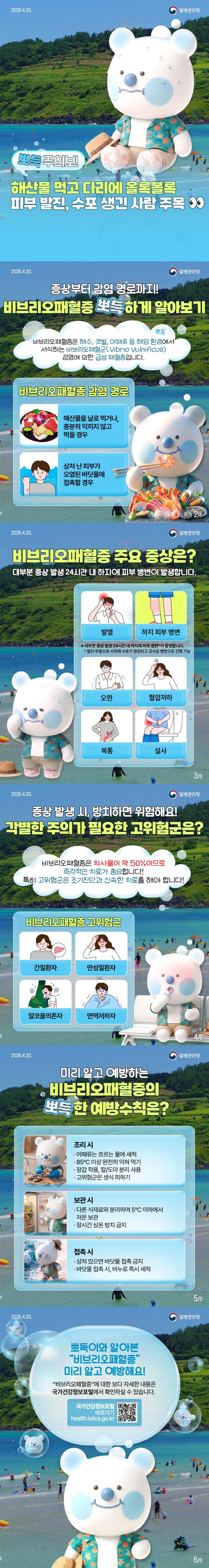 비브리오패혈증 알아보기 이미지