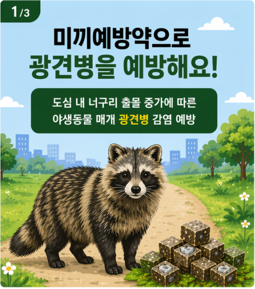 13
미끼예방약으로 광견병을 예방해요!
도심 내 너구리 출몰 중가에 따른
야생동물 매개 광견병 감염 예방