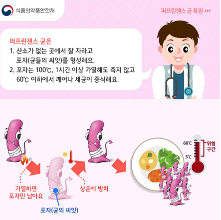 식품의약품안전처
퍼프린젠스균특질
퍼프린젠스 글은
1. 산소가 없는 곳에서 잘 자라고 포자(균들의 씨앗)를 형성해요.
2. 포자는 100℃, 1시간 이상 가열해도 죽지 않고 60'℃ 이하에서 깨어나 세균이 증식해요.
가열하면 포자만 남아요
상온에 방치
포자(균의 씨앗)
60℃
SC
위험 구간
