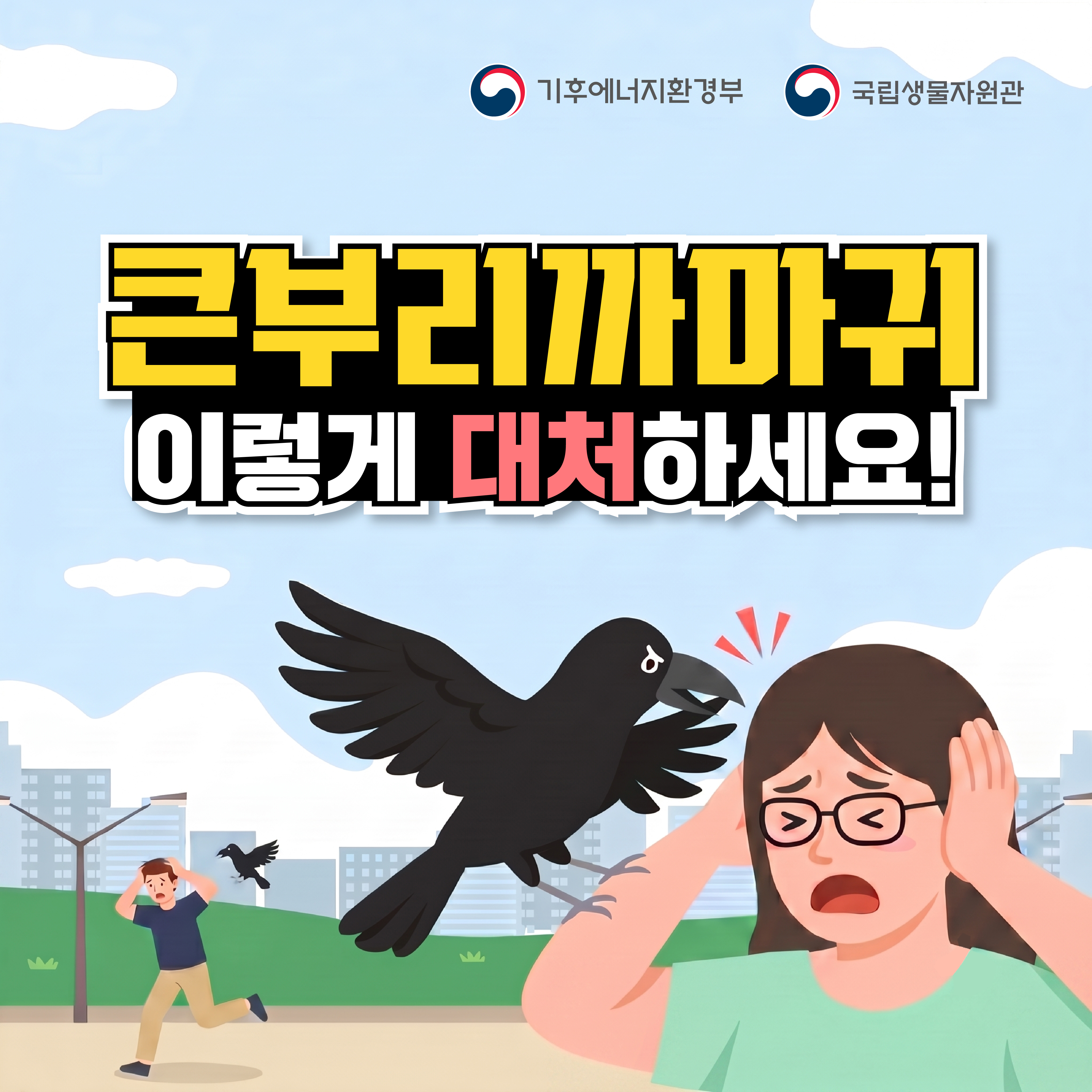 기후에너지환경부 | 국립생물자원관

큰부리까마귀
이렇게 대처하세요!