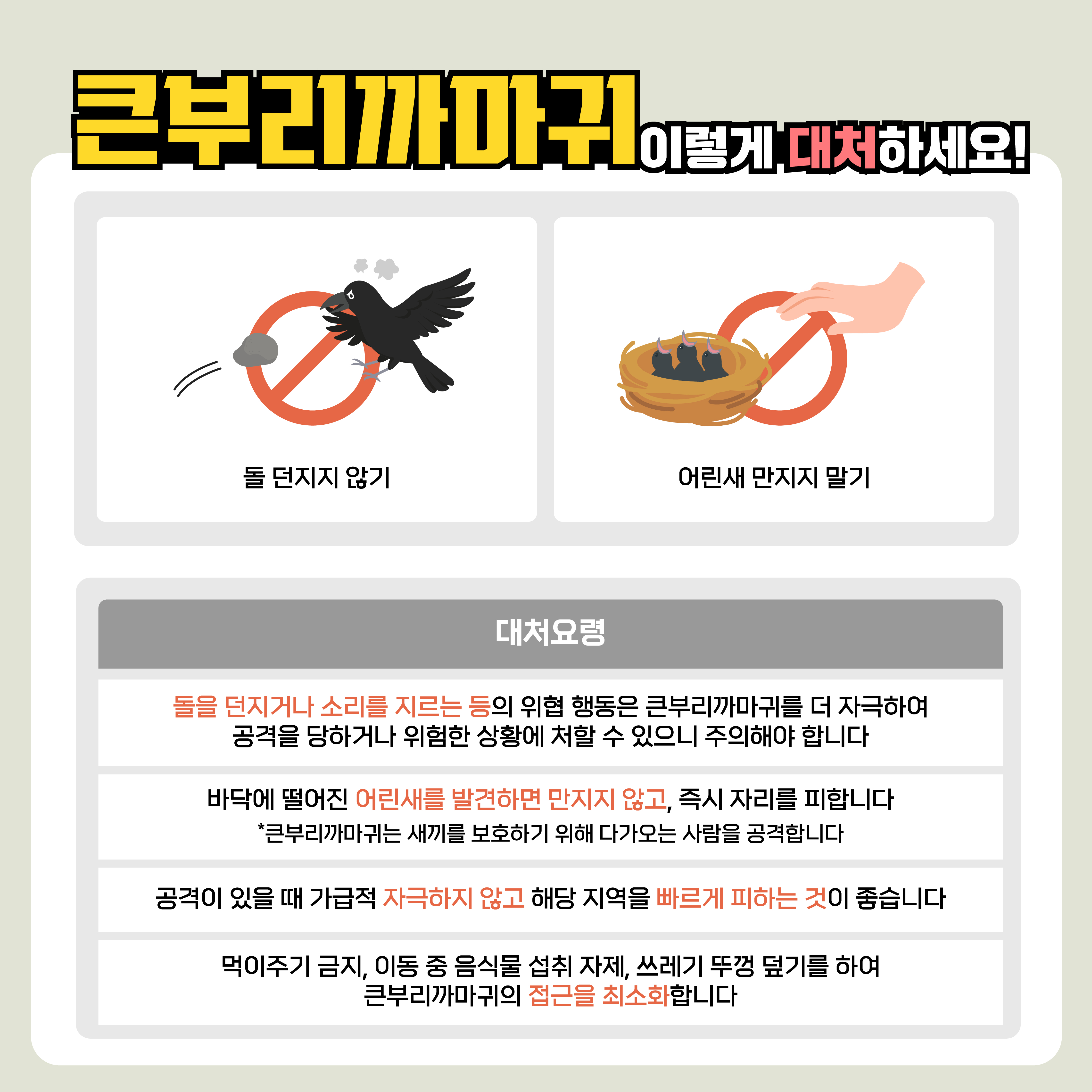 큰부리까마귀 이렇게 대처하세요!
돌 던지지 않기
어린새 만지지 말기
대처요령
돌을 던지거나 소리를 지르는 등의 위협 행동은 큰부리까마귀를 더 자극하여 공격을 당하거나 위험한 상황에 처할 수 있으니 주의해야 합니다.
바닥에 떨어진 어린새를 발견하면 만지지 않고, 즉시 자리를 피합니다.
큰부리까마귀는 새끼를 보호하기 위해 다가오는 사람을 공격합니다.
공격이 있을 때 가급적 자극하지 않고 해당 지역을 빠르게 피하는 것이 좋습니다.
먹이주기 금지, 이동 중 음식물 섭취 자제, 쓰레기 뚜껑 덮기를 하여 큰부리까마귀의 접근을 최소화합니다.