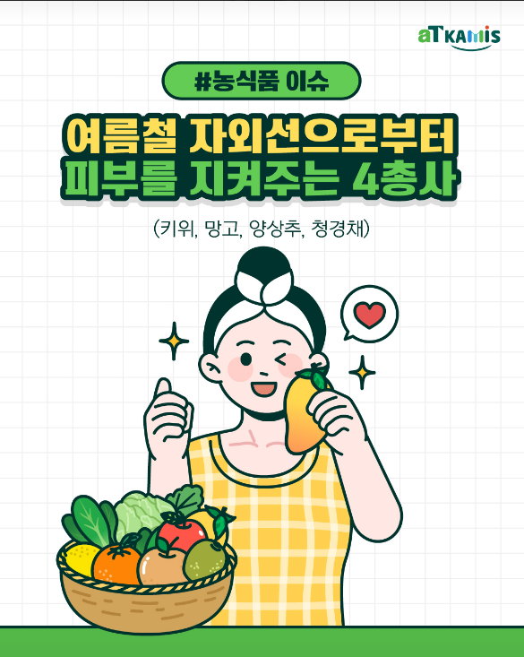 1페이지

#농식품 이슈

여름철 자외선으로부터 피부를 지켜주는 4총사

(키위, 망고, 양상추, 청경채)