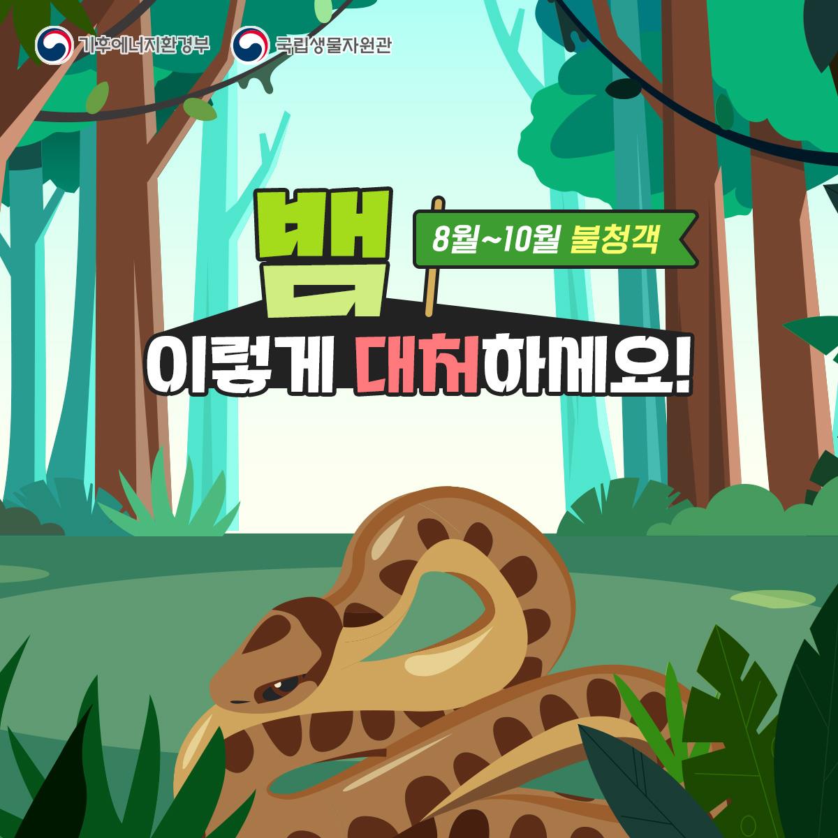 뱀 이렇게 대처하세요 이미지
