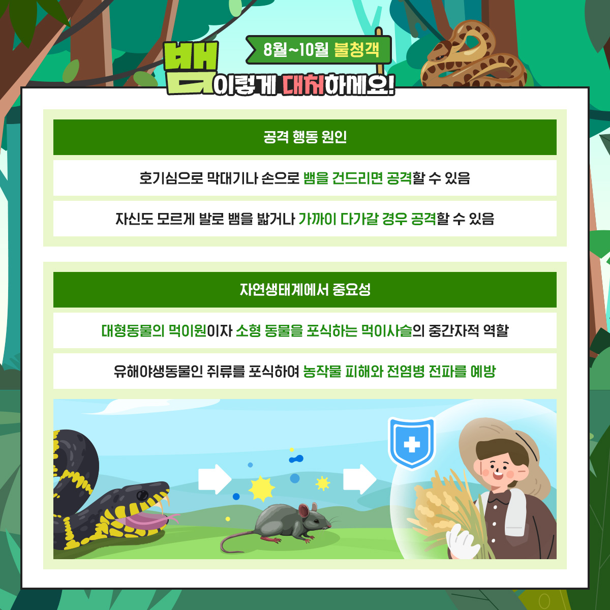 8월~10월 불청객
뱀 이렇게 대처하세요!

공격 행동 원인

호기심으로 막대기나 손으로 뱀을 건드리면 공격할 수 있음

자신도 모르게 발로 뱀을 밟거나 가까이 다가갈 경우 공격할 수 있음

자연생태계에서 중요성

대형동물의 먹이원이자 소형 동물을 포식하는 먹이사슬의 중간자적 역할

유해야생동물인 쥐류를 포식하여 농작물 피해와 전염병 전파를 예방