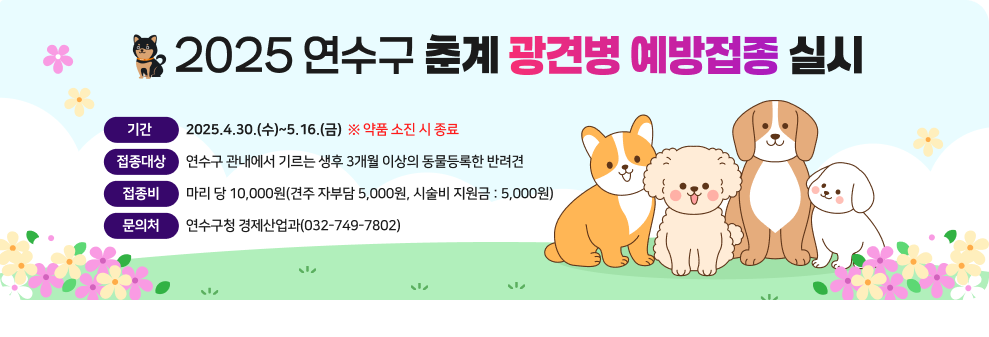 2025 연수구 춘계 광견병 예방접종 실시  기간 : 2025.4.30.(수)~5.16.(금) *약품 소진 시 종료 접종대상 : 연수구 관내에서 기르는 생후 3개월 이상의 동물등록한 반려견 접종비 : 마리 당 10,000원(견주 자부담 5,000원, 시술비 지원금 : 5,000원) 문의처 : 연수구청 경제산업과(032-749-7802)